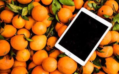 What are the different types of tangerine juice available in the market?