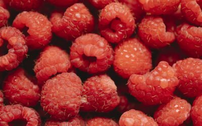 What are some easy raspberry juice recipes?