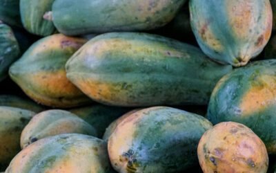 Can papaya juice be used as a natural remedy for various ailments?