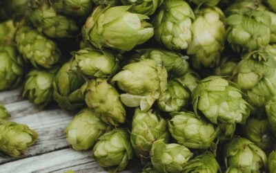 What role do hops play in the brewing of Pale Ale beer, and how do different hop varieties impact the flavor and aroma?