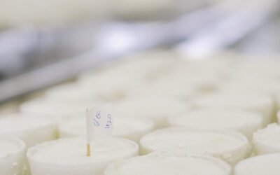 What are the environmental benefits and impacts of horse milk production compared to other types of milk?