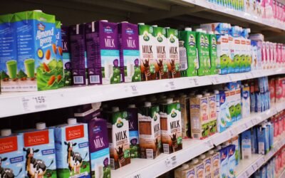 How is moose milk collected and processed for consumption?