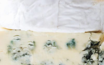 Can pig milk be used to make dairy products like cheese or butter?