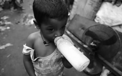 How do pigeons feed their young with milk and what is the feeding process like?