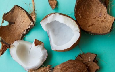 What are the benefits of milk for vegans?