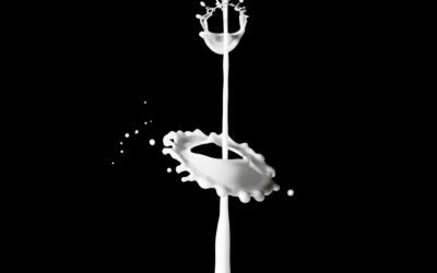 How long does flavoured milk last?