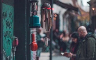 How to choose the best kefir grains?