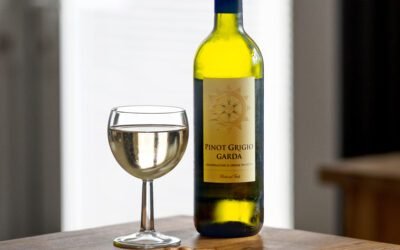 What are the characteristics of Pinot Grigio wine?