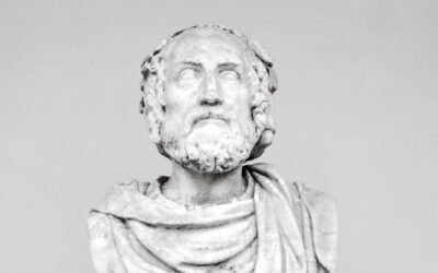 What are the origins and history of viili?