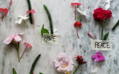 What are some common misconceptions about Quark and how do they differ from the truth?