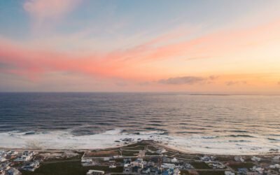 What are the nutritional properties of chaas?