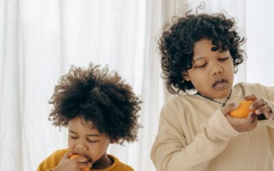 What is Whey Protein Concentrate and how is it used in food production?